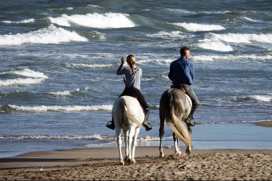 Casablanca: Beach Horseback Riding with Hotel Transfers - Key highlights worth knowing