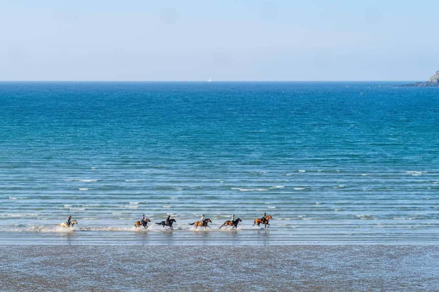 Casablanca: Beach Horseback Riding with Hotel Transfers - Should you book this Casablanca beach horseback ride?