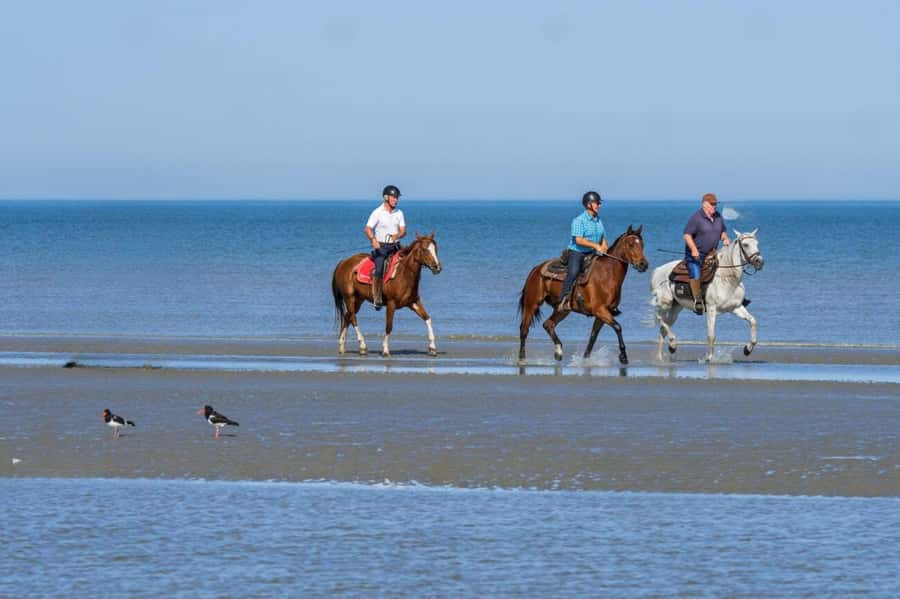 Casablanca: Beach Horseback Riding with Hotel Transfers - Hotel pickup and drop-off in Casablanca, plus port access
