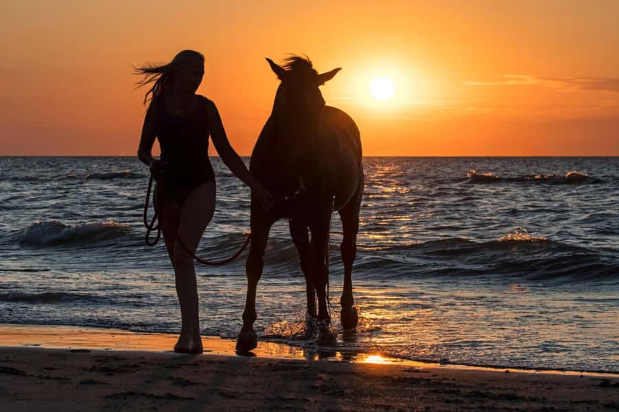 Casablanca: Beach Horseback Riding with Hotel Transfers - Choosing your route: one hour on the beach or in the forest