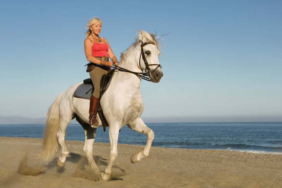 Casablanca: Beach Horseback Riding with Hotel Transfers - How the horse ride works for beginners, including safety coaching