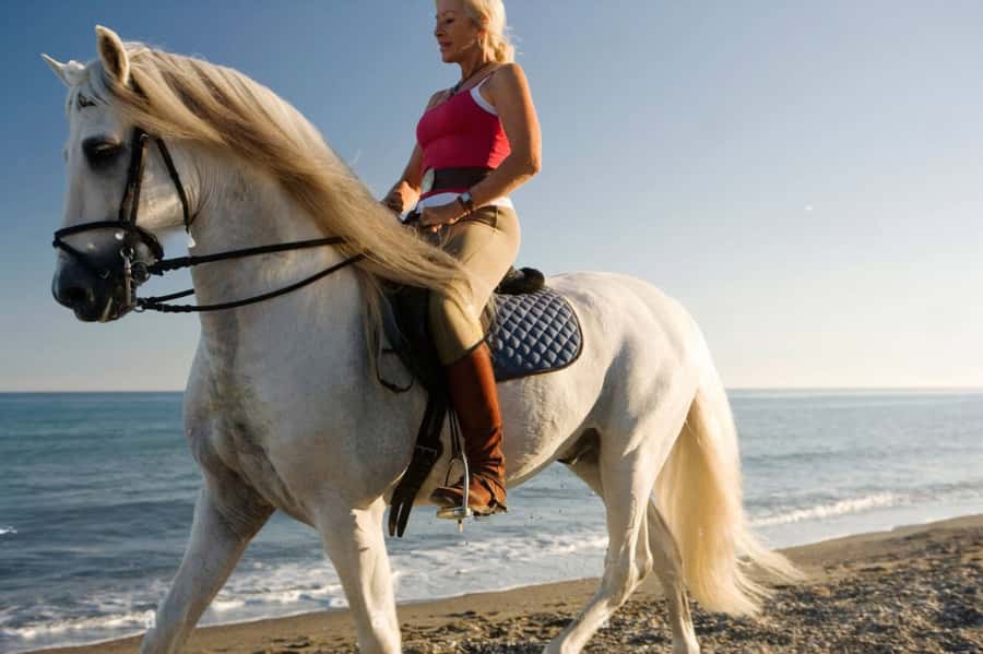 Casablanca: Beach Horseback Riding with Hotel Transfers - Sunset photos and small group pace, up to 15 people