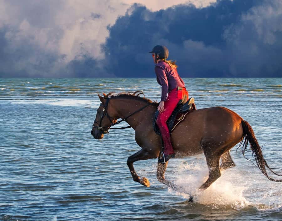 Casablanca: Beach Horseback Riding with Hotel Transfers - Price value around $46 and what you should budget for