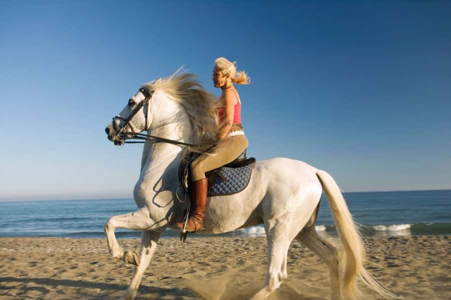 Casablanca: Beach Horseback Riding with Hotel Transfers - Weather and beach reality checks: cleanliness, comfort, and seating