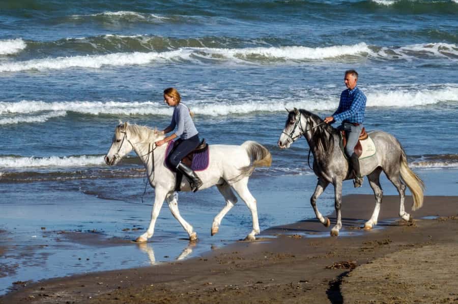 Casablanca: Beach Horseback Riding with Hotel Transfers - What the ride out includes: A/C, Wi-Fi, water, and kid seats