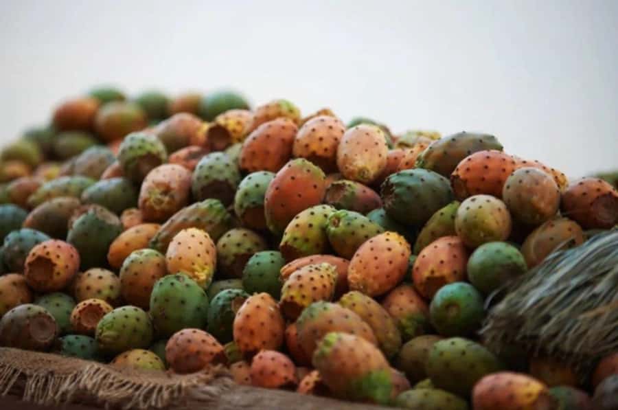 Casablanca: Food Tour with Tastings in Quartier Habous - Key things I’d focus on before you go