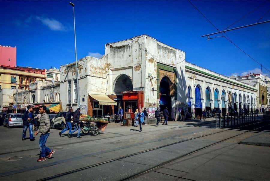 Casablanca Full-Day City Tour with round-trip hotel transfer - What I think $22 buys you, and what it does not