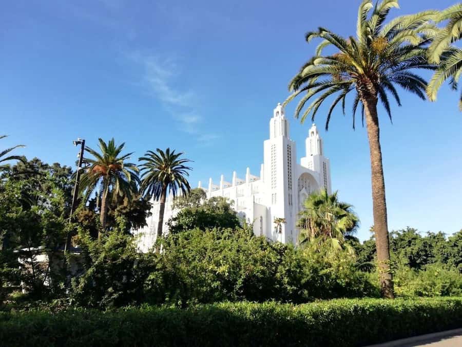 Casablanca Full-Day City Tour with round-trip hotel transfer - Hassan II Mosque: what you’ll see, and how to plan your photos