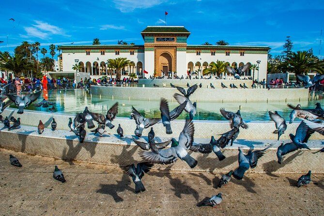 Casablanca Half-day guided tour - Corniche Ain Diab and Ain Diab: Atlantic air and a change of pace