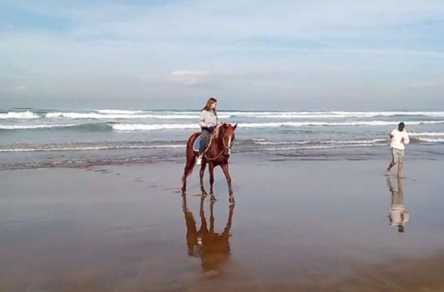Casablanca: Private or Group Tour - Value check: what $16 really buys, and what costs extra