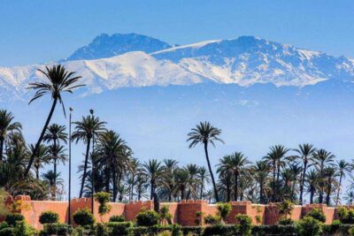 Casablanca to Marrakech Day Trip with Camel Ride
