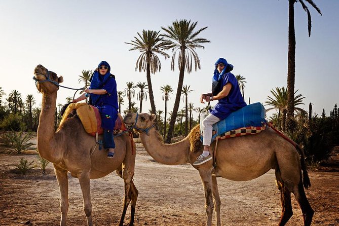 Casablanca to Marrakech Day Trip with Camel Ride - Group size, pace, and guide quality: the real-life variable