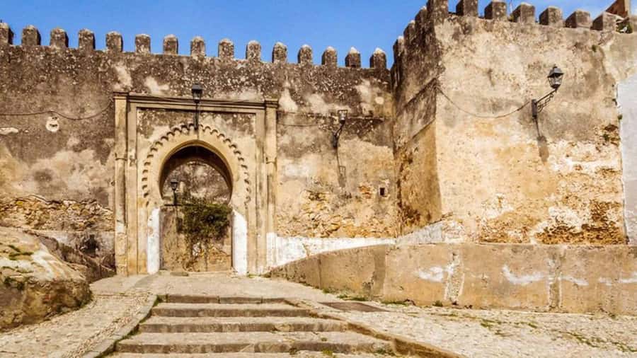 Casablanca to Tangier Guided Day Trip By High-Speed Train - Who should book this Casablanca to Tangier trip?