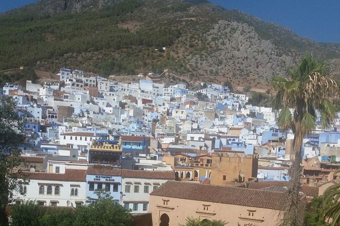 Chefchaouen Bleu City Day Trip from Casablanca. - Private transportation and the driver factor, especially for comfort and context