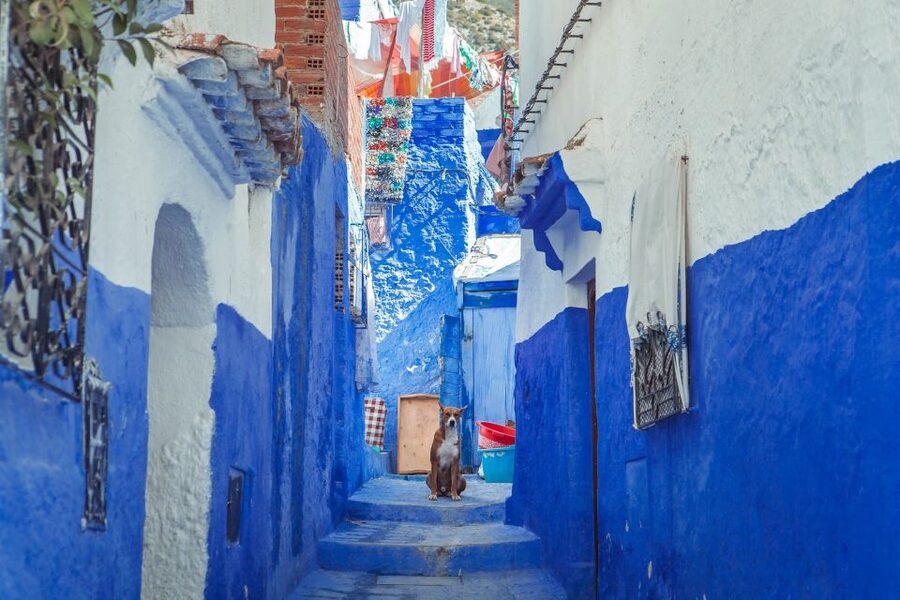 Chefchaouen Day Trip from Fez (Shared Group Tour) - Price and Value: Why $20 Can Make Sense for a One-Day Taste