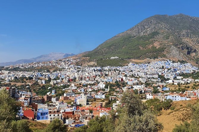 Chefchaouen day trip from Fez - Price and Logistics: Where the $95.90 Value Really Comes From