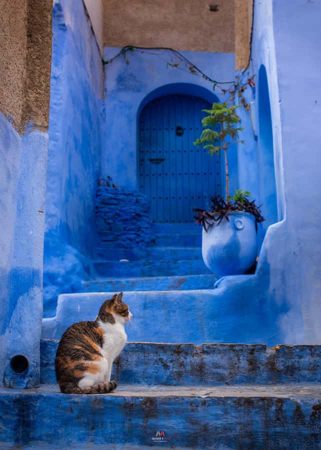 Chefchaouen tour guide - Bab Souk pickup: the easiest start, and why it matters