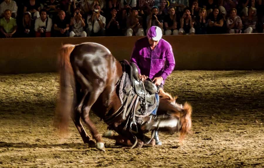 Chez Ali Dinner & Horsemen Show From Marrakech - Key things to know before you go