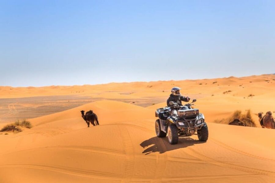 Combined Tour: 5 Days Mount Toubkal & Sahara tour - Desert comfort: what the dunes night is like