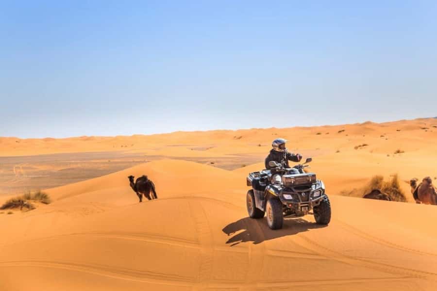 Combined Tour: 5 Days Mount Toubkal & Sahara tour - Price and logistics: what $454 buys you, and what to watch