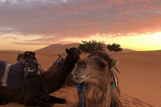 Combined Tour: Atlas Mountains Trek and Sahara Desert 5 days Tour - From Marrakech to Imlil: why the trek starts where it should