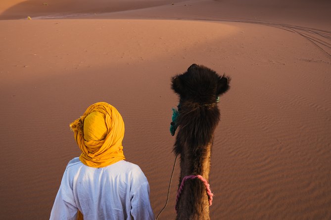Combined Tour: Atlas Mountains Trek and Sahara Desert 5 days Tour - Summit attempt day on Jebel Toukbal: the payoff, and the reality check