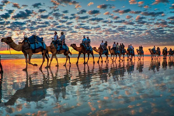 Daily walks at sunset with "barbecue - couscous" dinner - Key highlights worth planning around