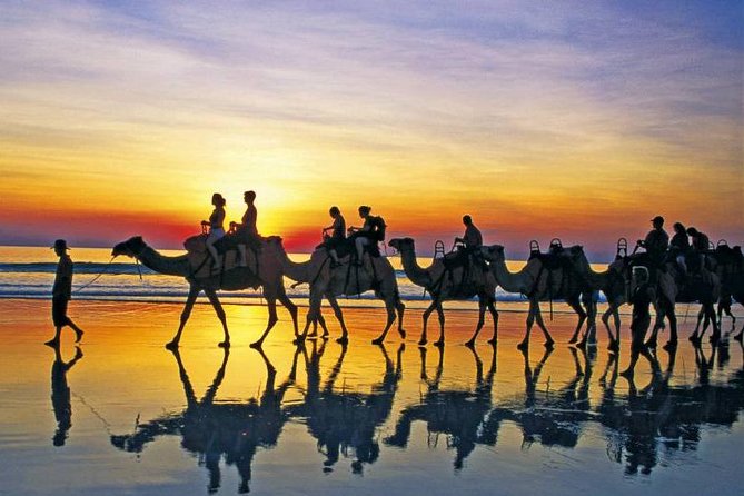 Daily walks at sunset with "barbecue - couscous" dinner - After the ride: barbecue-couscous dinner in a family setting