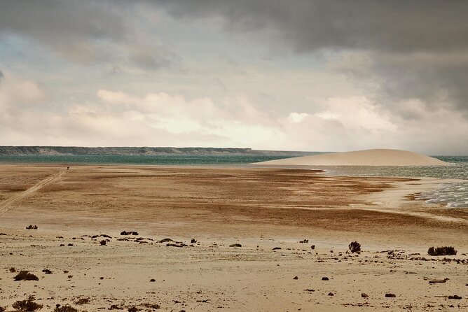 Dakhla White Dune Tour - Stop 3: Talha Mar oyster park and seafood by the sea