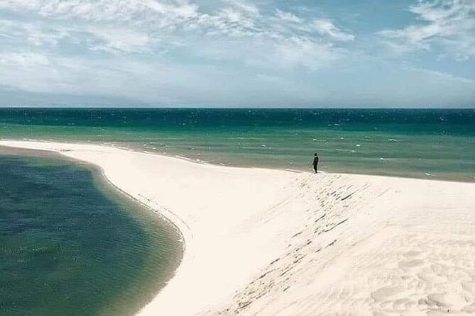 Dakhla White Dune Tour - Who should book this, and who might want a different option