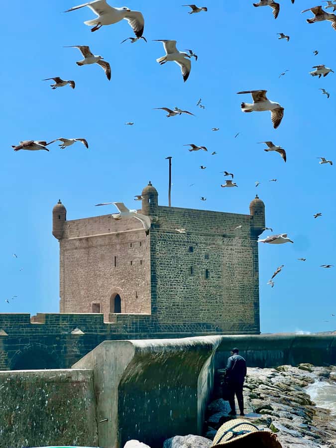 Day Excursion From Marrakech to Essaouira City - Port and ramparts: the ocean part of the day
