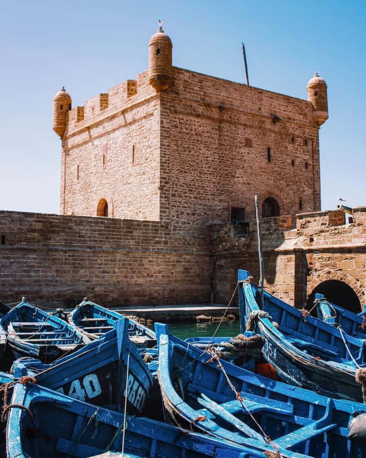 Day Excursion From Marrakech to Essaouira City - Timing back to Marrakech, around 19:30