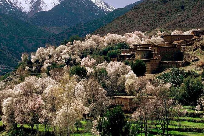 Day Excursion to Atlas Mountains from Marrakech - Key things to know before you go