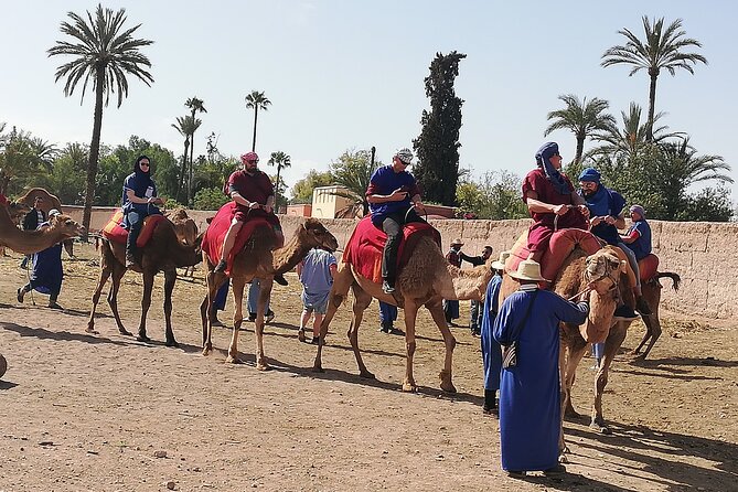 Day Excursion To Ourika Valley and High Atlas From Marrakech: Shared - Afous Argan, learning how argan oil is made