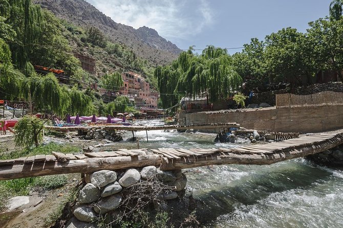 Day Excursion To Ourika Valley and High Atlas From Marrakech: Shared - Mint tea and Berber village life, a small ritual with a big payoff