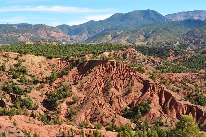 Day Excursion To Ourika Valley and High Atlas From Marrakech: Shared - Price and logistics, what your money actually buys