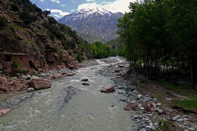 Day Excursion To Ourika Valley and High Atlas From Marrakech: Shared - Timing reality: pickup can start early