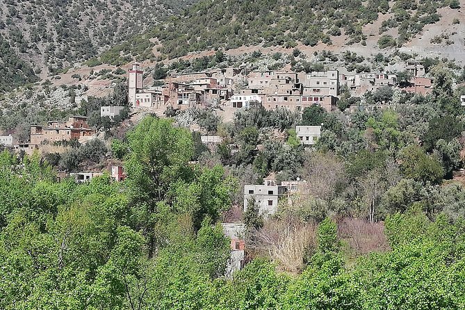 Day Excursion To Ourika Valley and High Atlas From Marrakech: Shared - The short camel ride stop at Tnine Ourika