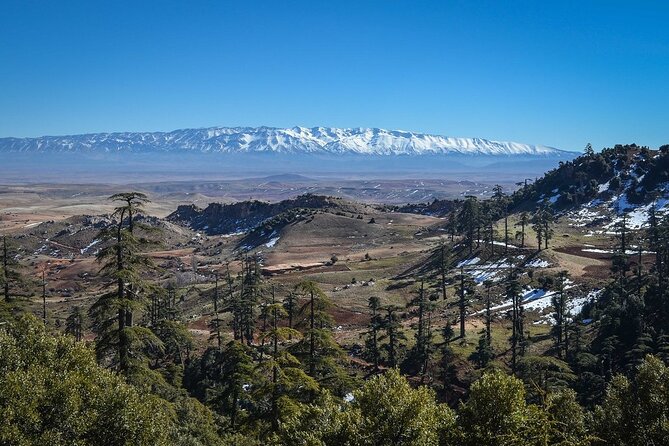 Day Tour From Fes to Middle Atlas (Imouzzer, Ifrane, and Azrou) - Key highlights to know before you go