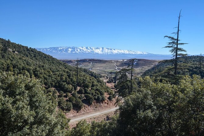 Day Tour From Fes to Middle Atlas (Imouzzer, Ifrane, and Azrou) - Ifrane, the Little Switzerland of Morocco at 1,750 meters