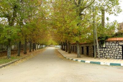 Day Tour From Fes to Middle Atlas (Imouzzer, Ifrane, and Azrou)