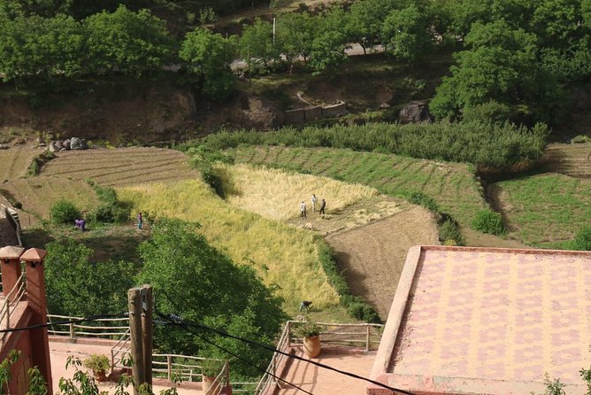 Day Tour from Marrakech to atlas mountains valleys, Camel Ride & Berber family - Tahnaout Argan Oil Co-operative: the women’s work behind Morocco’s labels