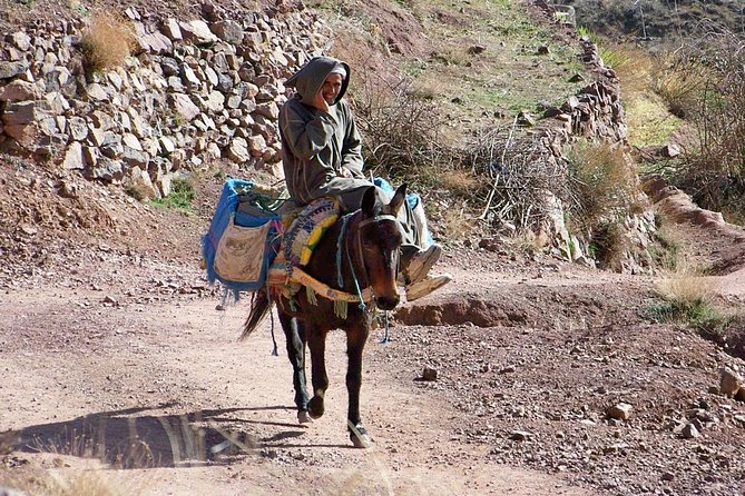 Day tour in high Atlas mountains - High Atlas day trip: the real payoff is getting out of Marrakech