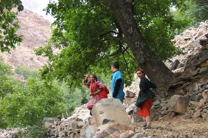 Day tour in high Atlas mountains - Price and value at about $80 per person