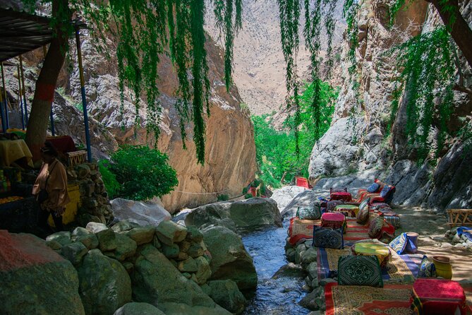 Day trip - Atlas Mountains Ourika Valley Waterfall From Marrakech - Why the Local Guide Makes or Breaks This Day