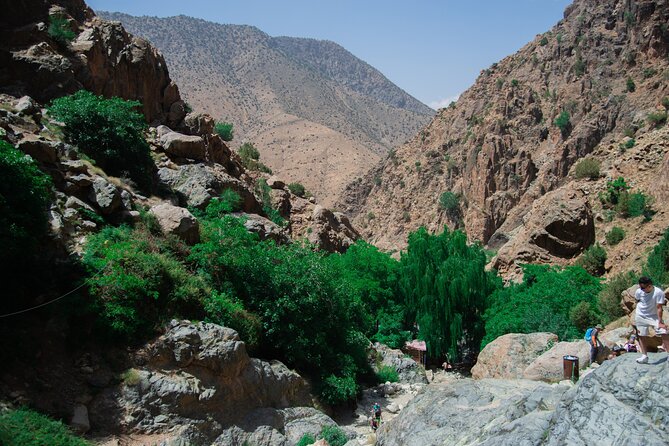 Day trip - Atlas Mountains Ourika Valley Waterfall From Marrakech - Ourika Valley and the Women’s Argan Oil Cooperative Visit