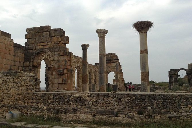 Day trip from Fes to Volubilis Moulay Idriss & Meknes - What Unguided, Driver-Only Really Means on the Ground