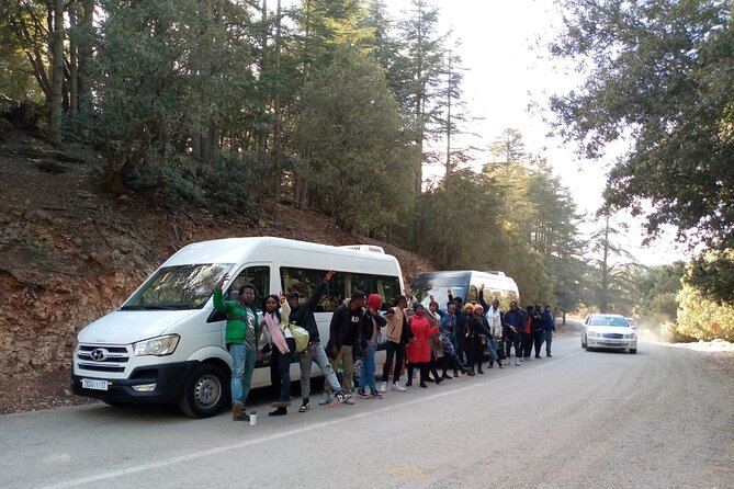 day trip from fez to middle atlas mountain - Transport and Comfort: What the Included Vehicle Really Buys You