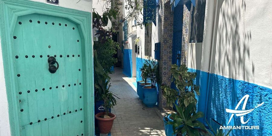 Day trip from Gibraltar to Morocco All Inclusive - The return ferry and quick scenic time in Tarifa
