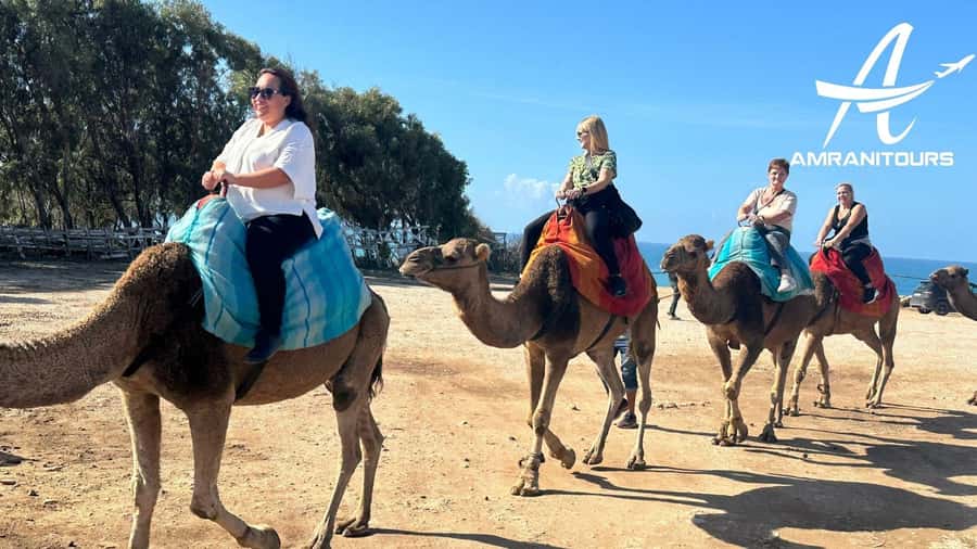 Day trip from Gibraltar to Morocco All Inclusive - Rmilat Park, Marshan Palace, and the sea-facing viewpoints